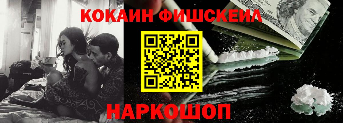 Cocaine Fish Scale  Вход с VPN  Новый Уренгой 