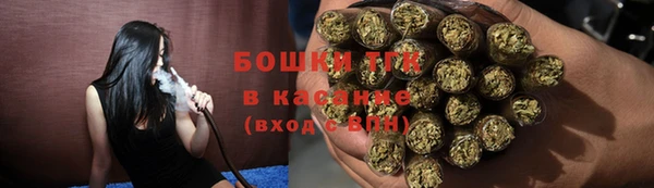 индика Аркадак