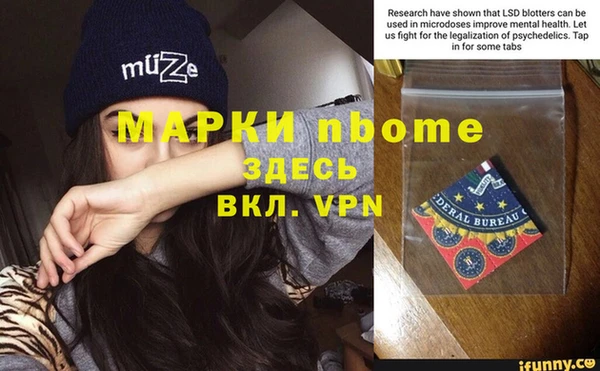 индика Аркадак
