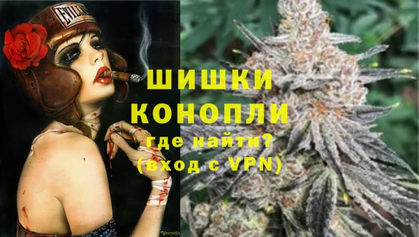 индика Аркадак