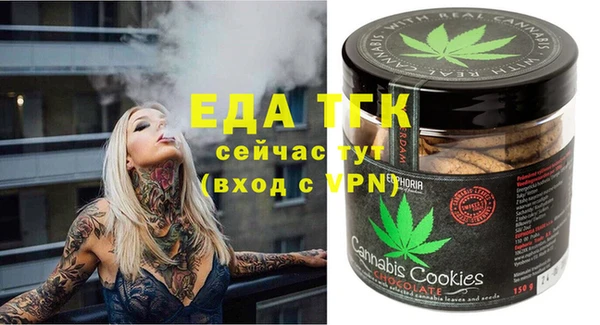 индика Аркадак