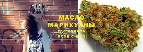 индика Аркадак