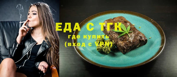 индика Аркадак