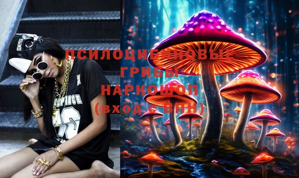 spice Армянск