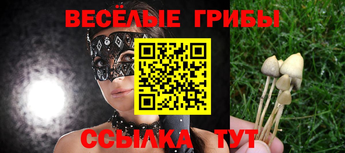 Галлюциногенные грибы Psilocybe  Галлюциногенные грибы мухоморы  Новый Уренгой  закладка  Вход с VPN 